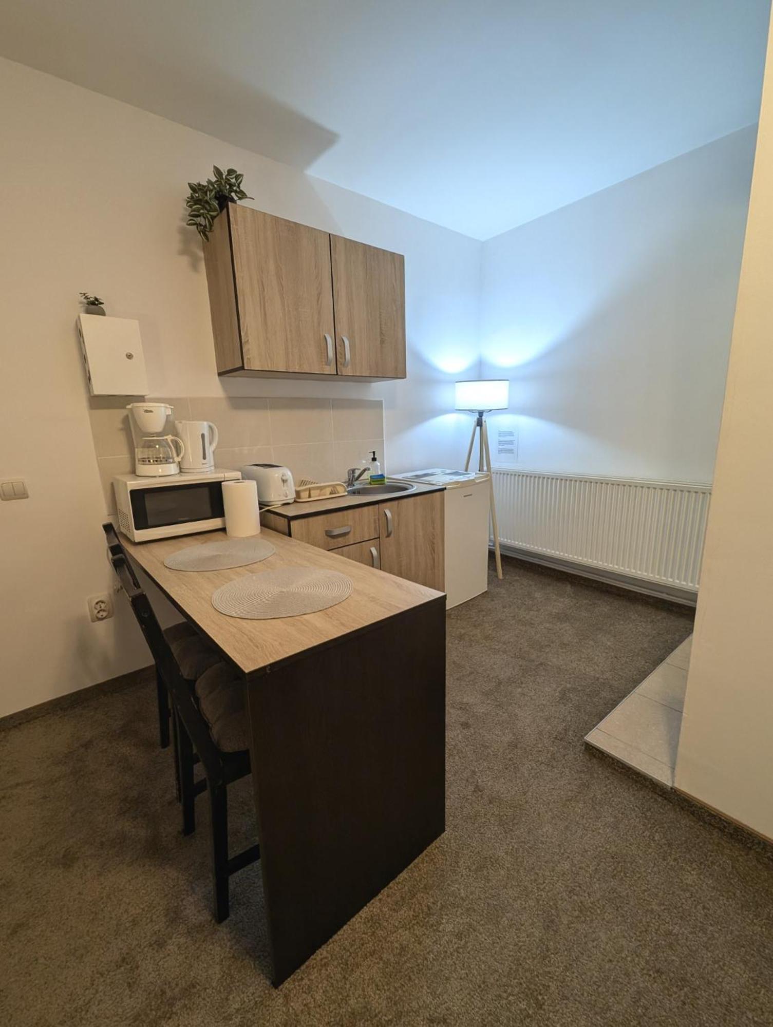 Sandor Central Studio Apartment Targu Mures Ngoại thất bức ảnh